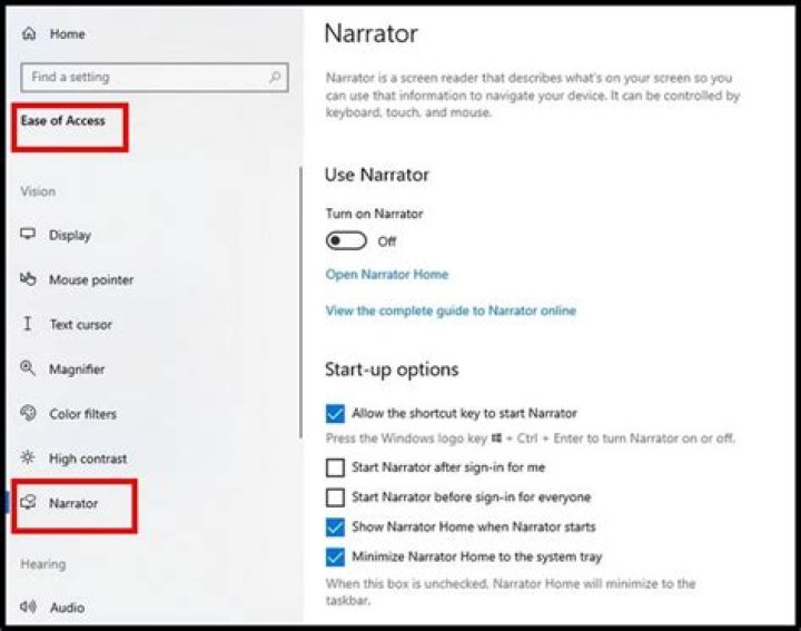 Can narrator read word documents?