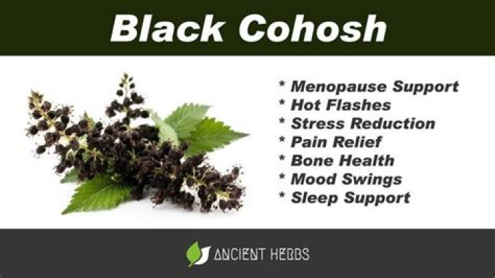 Did black cohosh work for you?