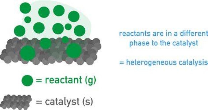 Do catalysts form bonds with reacting molecules?