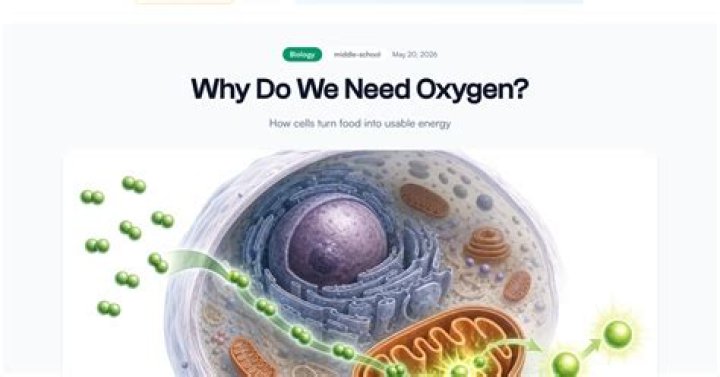 Do ecospheres need oxygen?