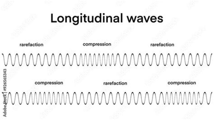 Do transverse waves have rarefactions?