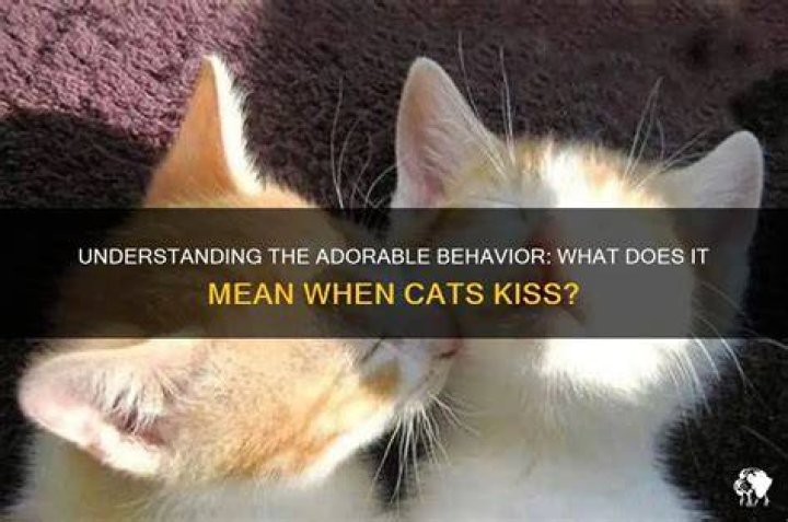 Does adorable mean lovable?