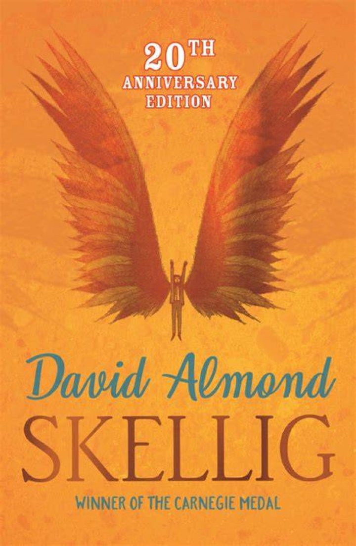 How did skellig get in the garage?