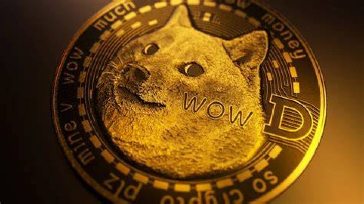 How far is dogecoin going?