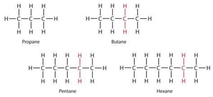 In alkanes each carbon atom forms?