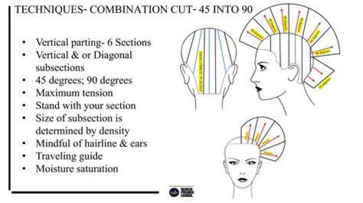 In haircutting a subsection of the hair is known as this?