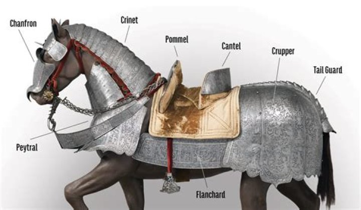 In the middle ages a destrier horse was a horse for?
