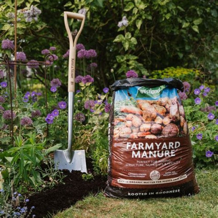 Is farmyard manure good for hydrangeas?