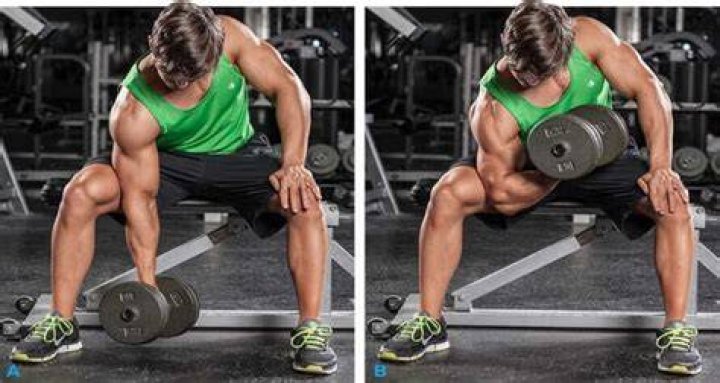 Should concentration curls be heavy?