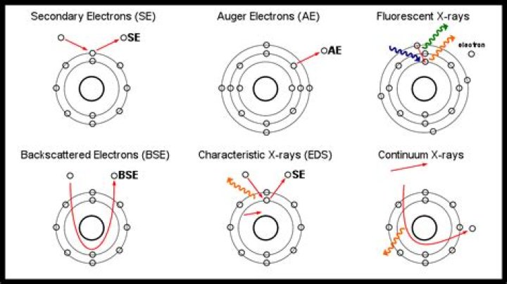 What are backscattered electrons and secondary electrons?