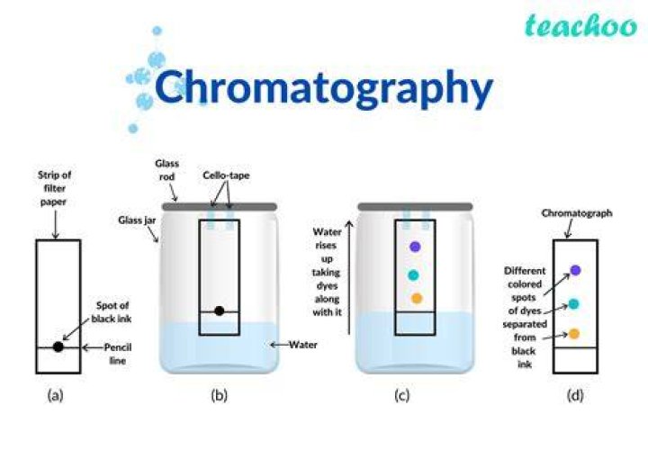 What chromatography in chemistry?