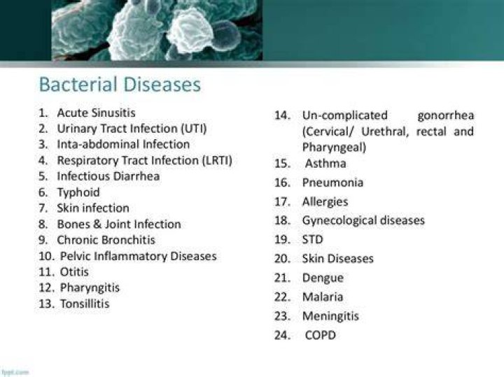 What diseases does bacillus cause?