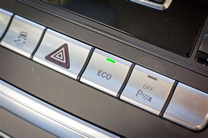 What does dupped mean?