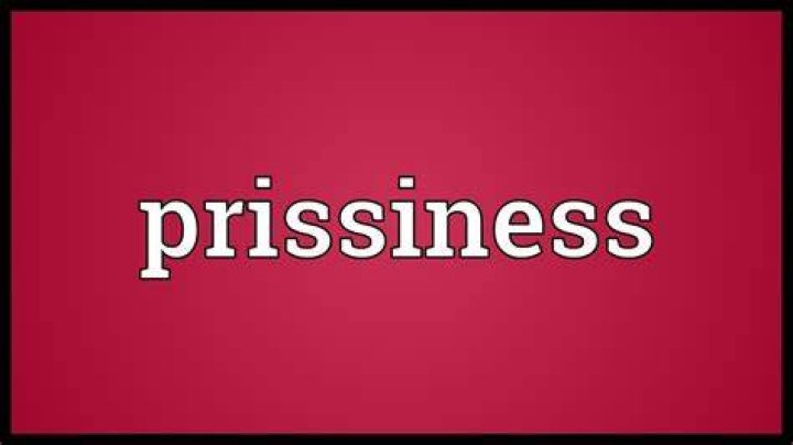 What does prissiness meaning?