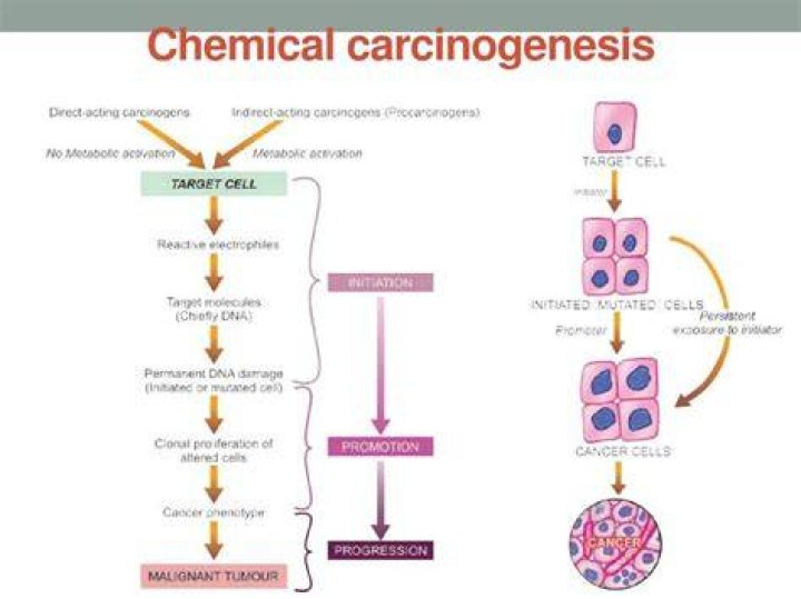 What is chemical carcinogenesis?