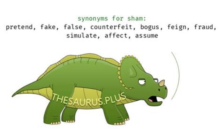 What is sham synonym?