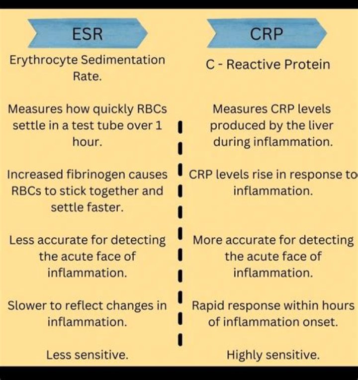 Whats the difference between sed rate and crp?