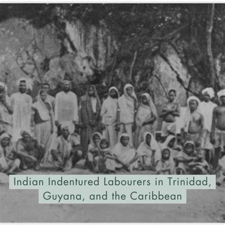 Where did the indian indentured labourers came from?