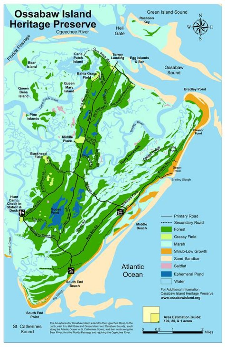 Where is ossabaw island?