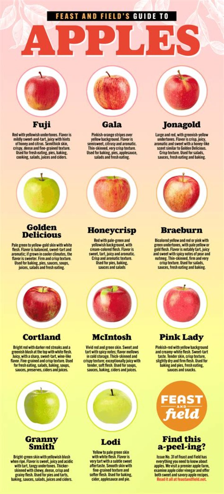 Which apples are the least mealy?