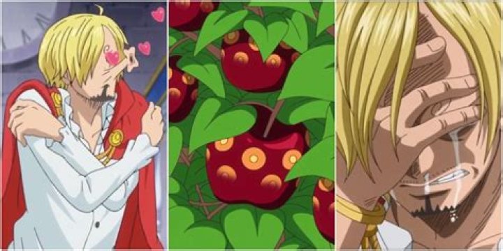 Which devil fruit did sanji eat?