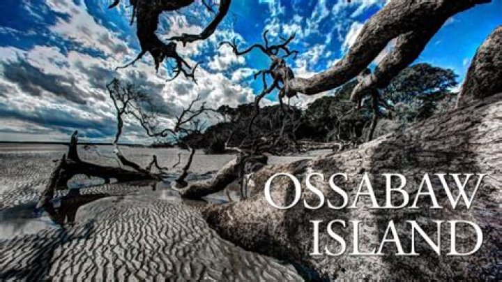 Who owns ossabaw island?