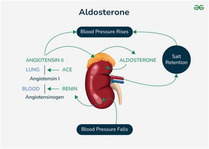 Will water retention raise blood pressure?